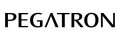 Pegatron Batteries