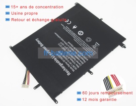 Trekstor hw-37154200 7.6V 41.8Wh batterie de ordinateur portable