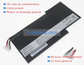 Evga b010-00-000004 11.4V 59Wh batterie de ordinateur portable